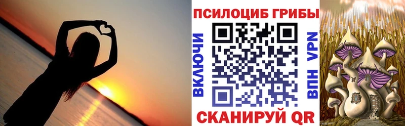 Псилоцибиновые грибы Magic Shrooms  Черкесск 